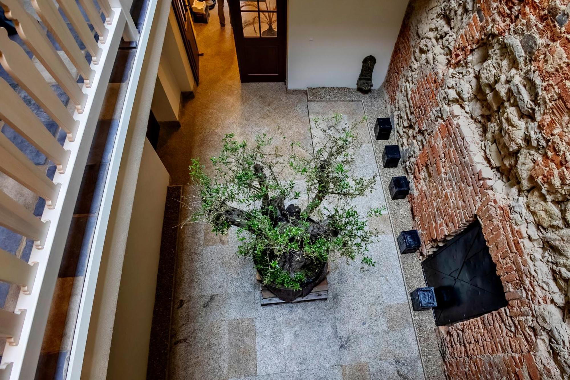 Lubartowska 19 Apartamenty Lublin Eksteriør bilde
